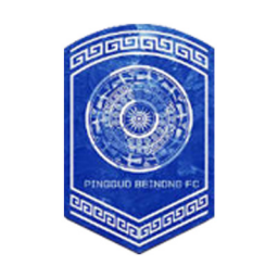 广西平果呗侬女足